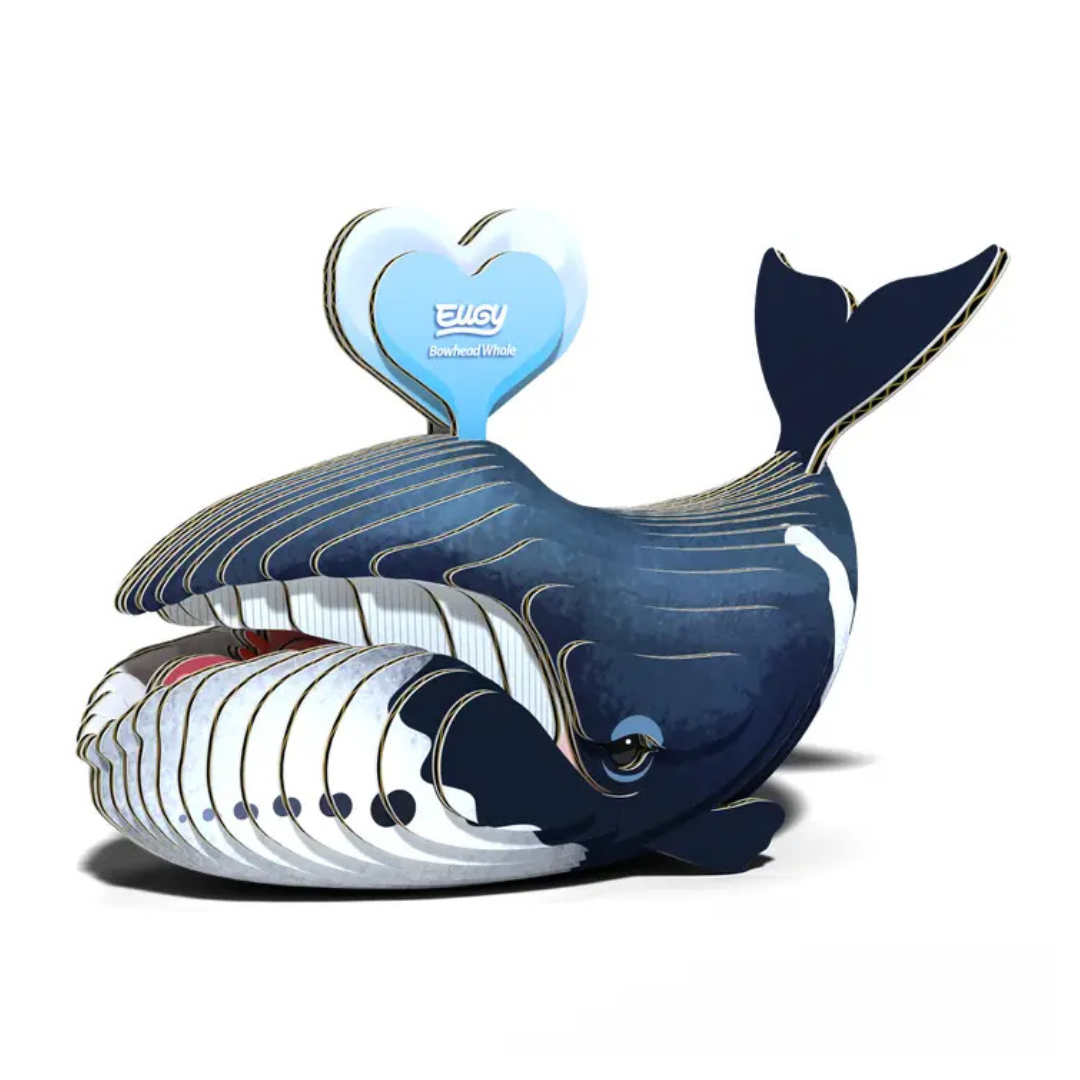 3D Cardboard Model Puzzle — Orca Network